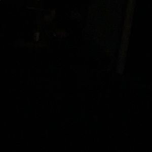 Meet your Posher, Bryce